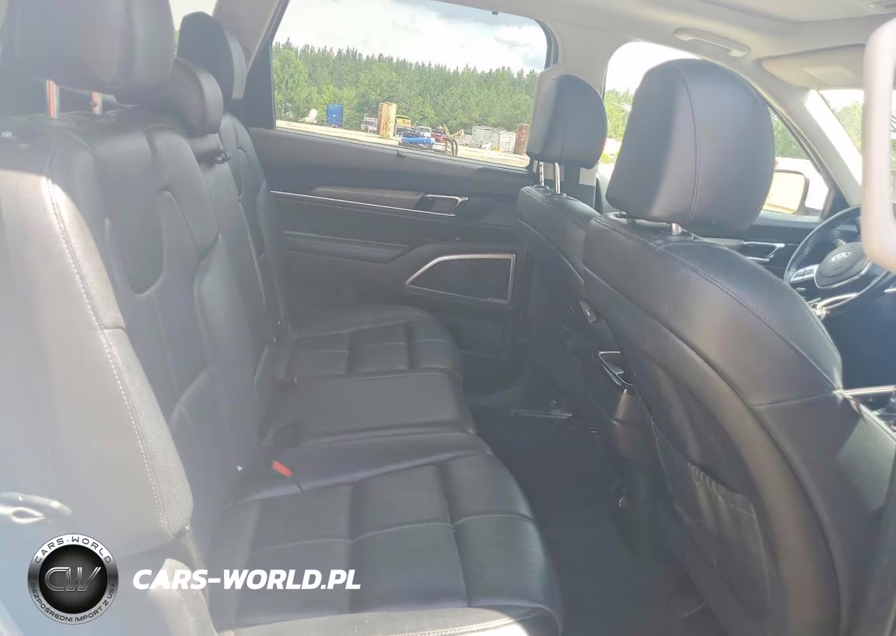 2020 Kia Telluride Ex VIN:5XYP34HC9LG015851 - 11