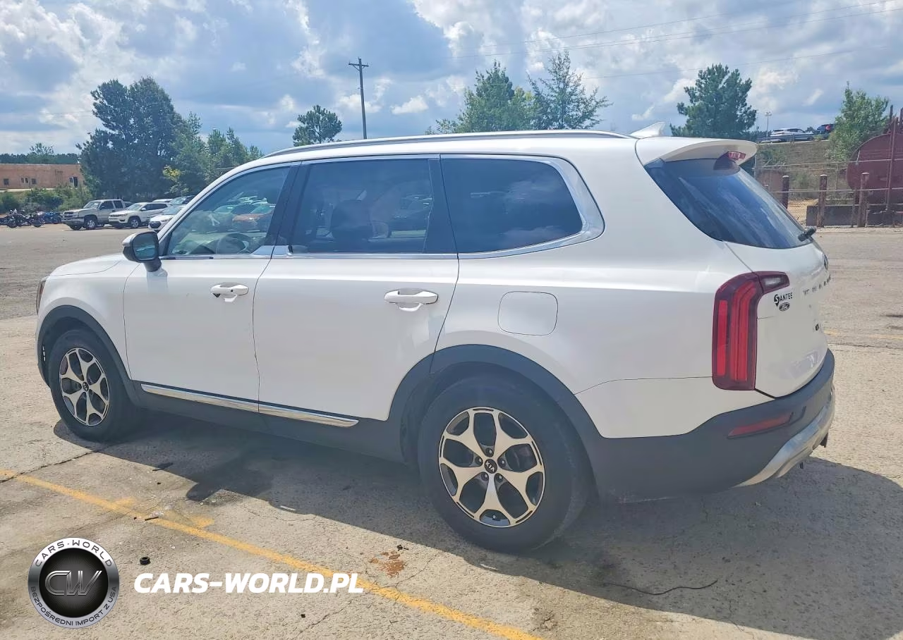 2020 Kia Telluride Ex VIN:5XYP34HC9LG015851 - 2