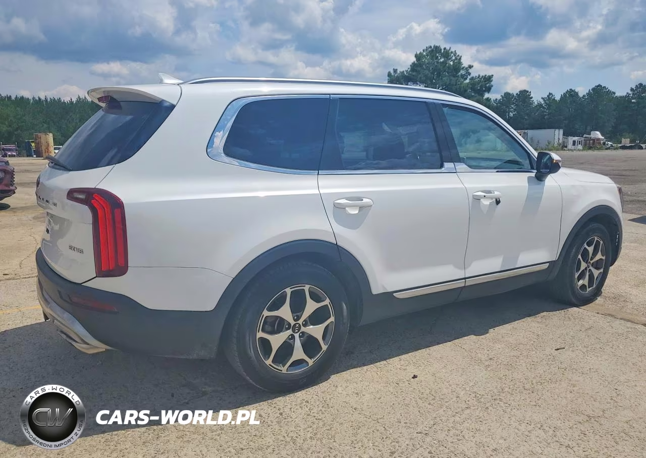2020 Kia Telluride Ex VIN:5XYP34HC9LG015851 - 3