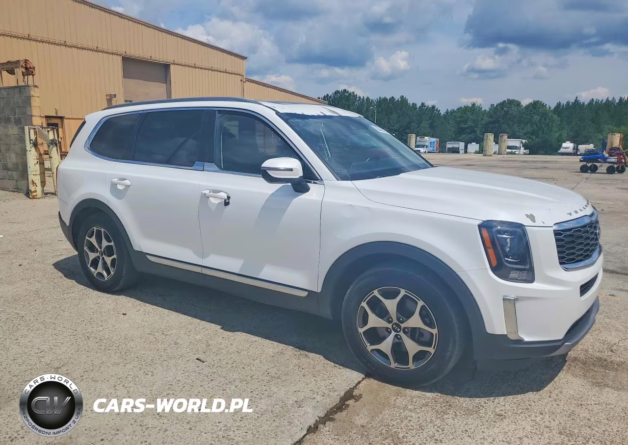 2020 Kia Telluride Ex VIN:5XYP34HC9LG015851 - 4