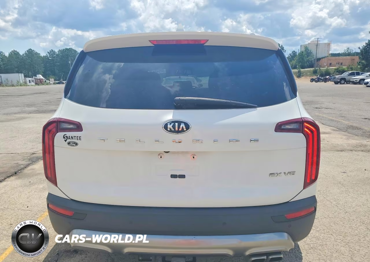 2020 Kia Telluride Ex VIN:5XYP34HC9LG015851 - 6
