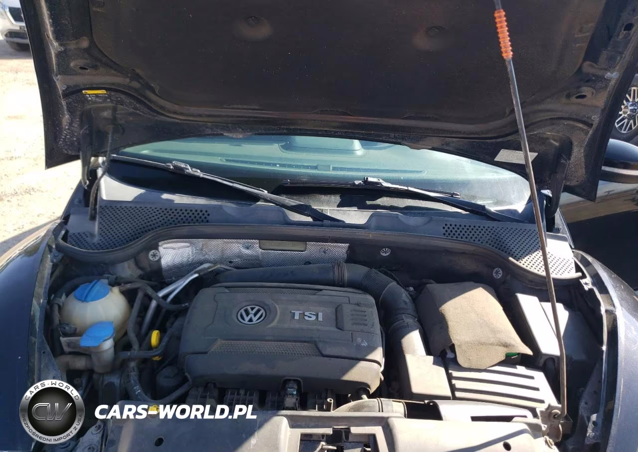 VOLKSWAGEN BEETLE TUR VIN:3VWVT7AT4EM606319 - 11
