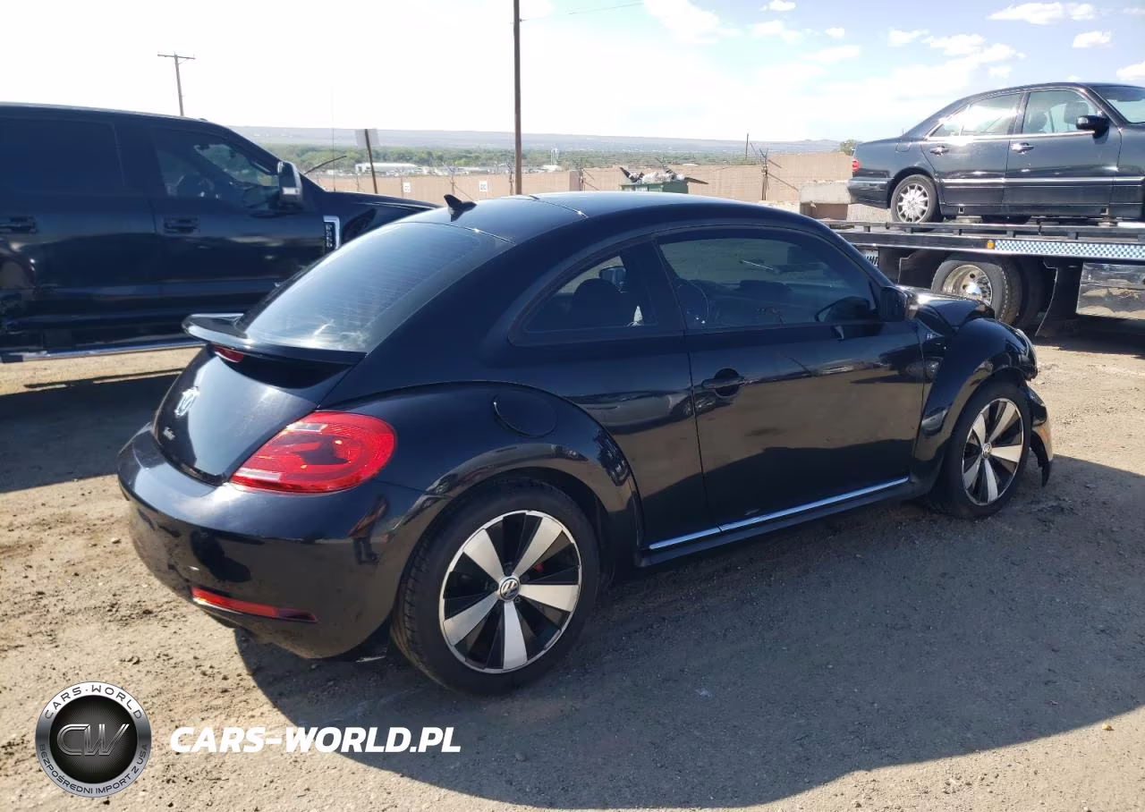 VOLKSWAGEN BEETLE TUR VIN:3VWVT7AT4EM606319 - 3
