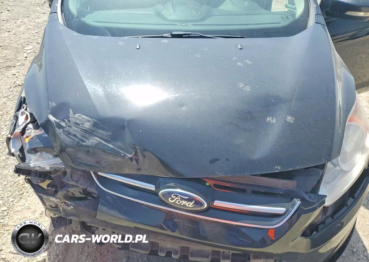 2013 Ford C-Max Se VIN:1FADP5AUXDL554541 - 11