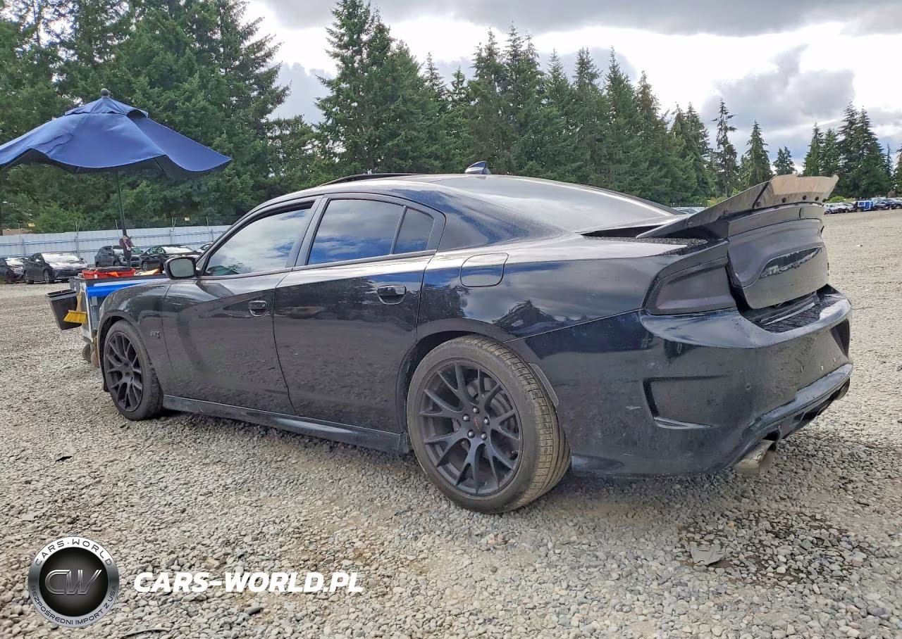 2018 Dodge Charger R-T 392 VIN:2C3CDXGJ2JH210769 - 2