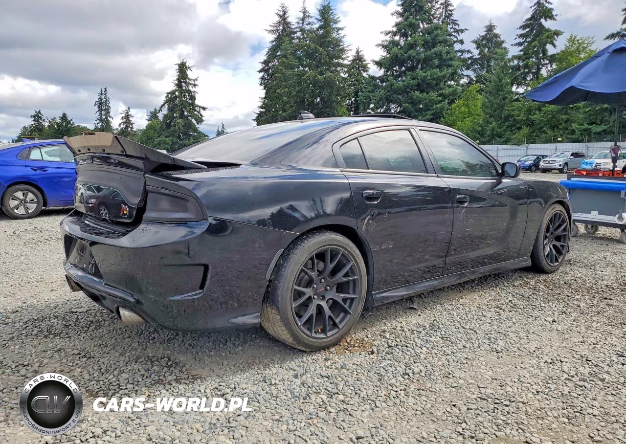 2018 Dodge Charger R-T 392 VIN:2C3CDXGJ2JH210769 - 3