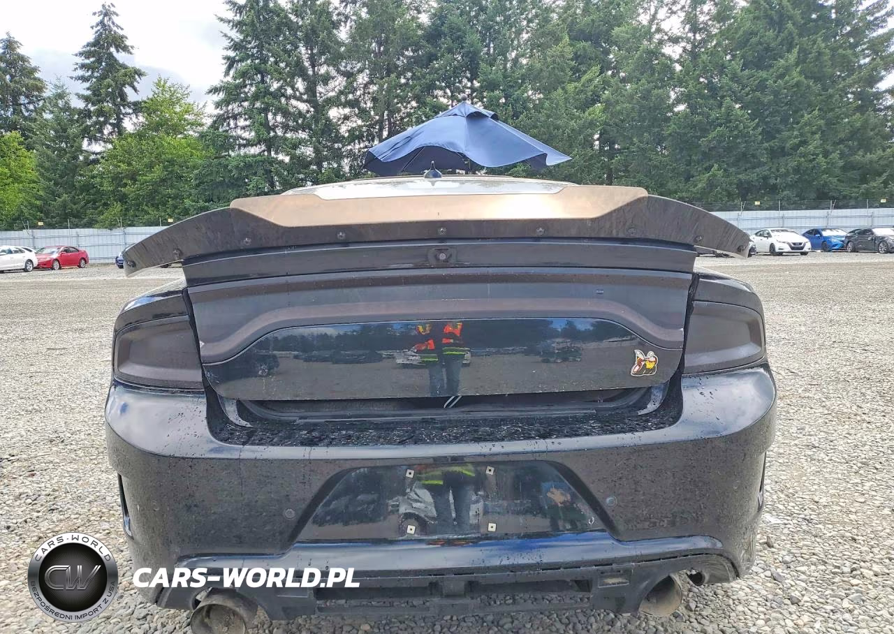 2018 Dodge Charger R-T 392 VIN:2C3CDXGJ2JH210769 - 6