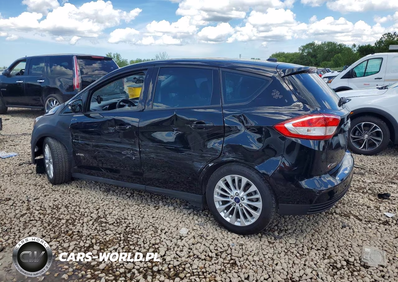 2017 Ford C-Max Se VIN:1FADP5AU0HL113619 - 2