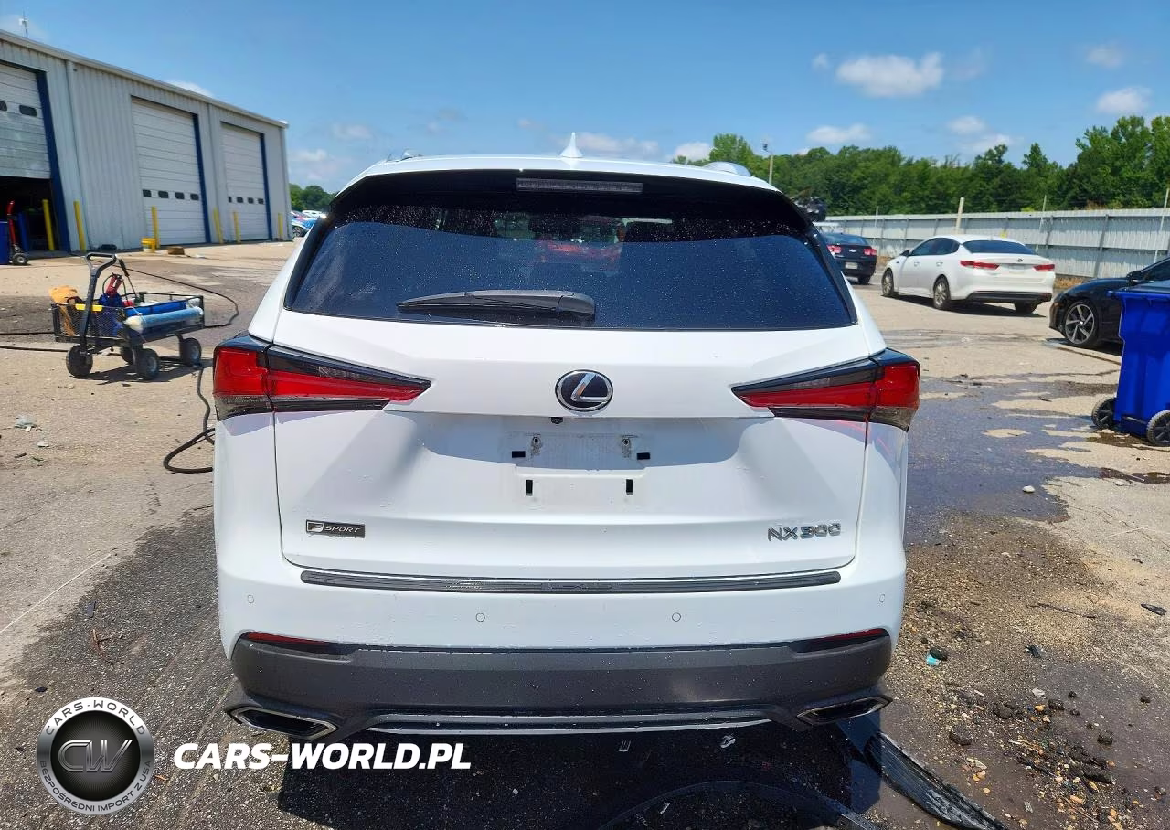 2021 Lexus Nx 300 F Sport VIN:JTJSARBZ0M2203421 - 6