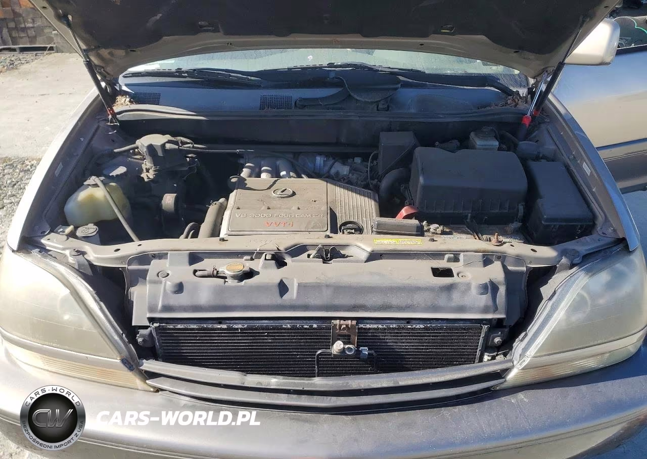 1999 Lexus Rx 300 VIN:JT6HF10U7X0057386 - 12