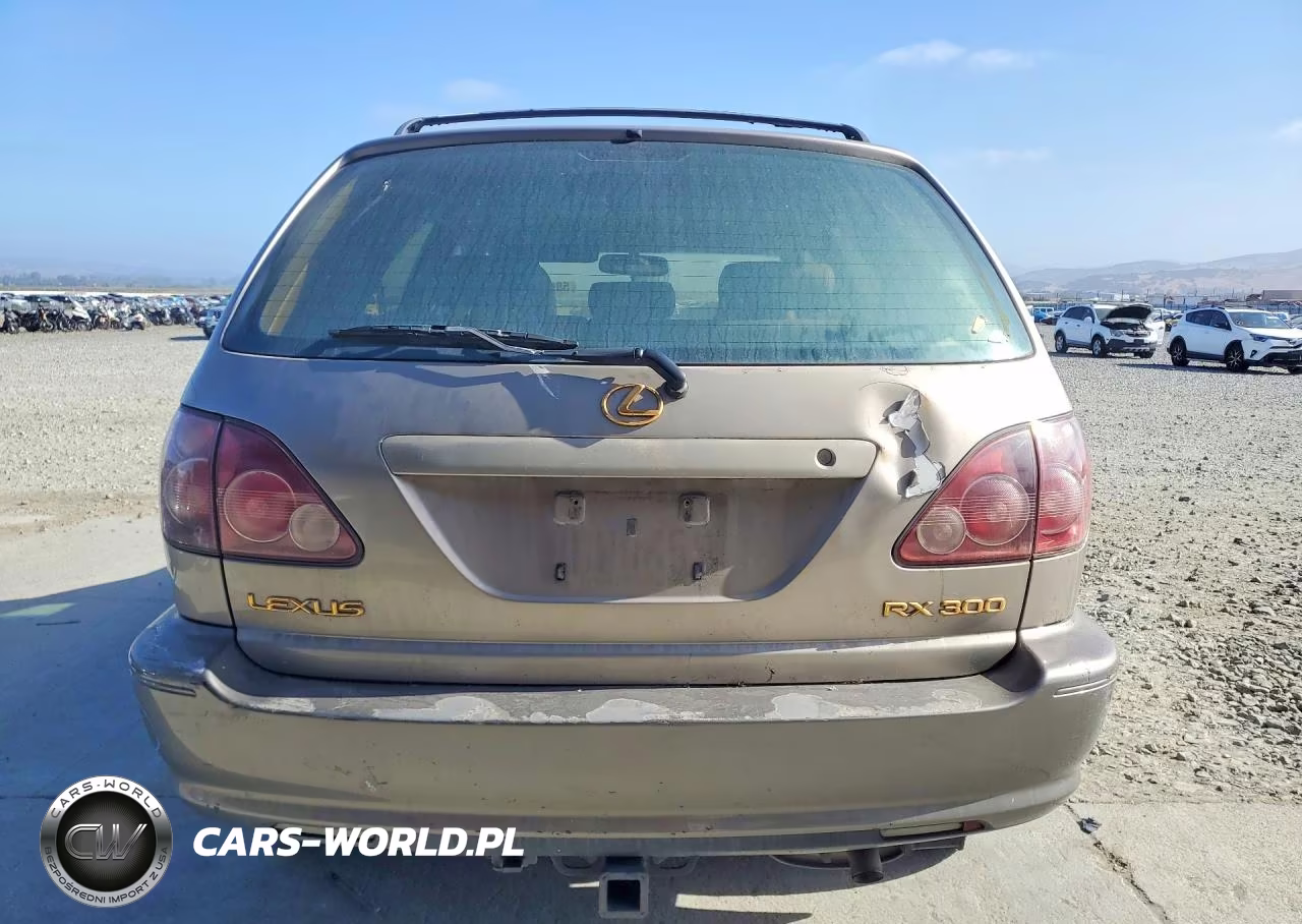 1999 Lexus Rx 300 VIN:JT6HF10U7X0057386 - 6