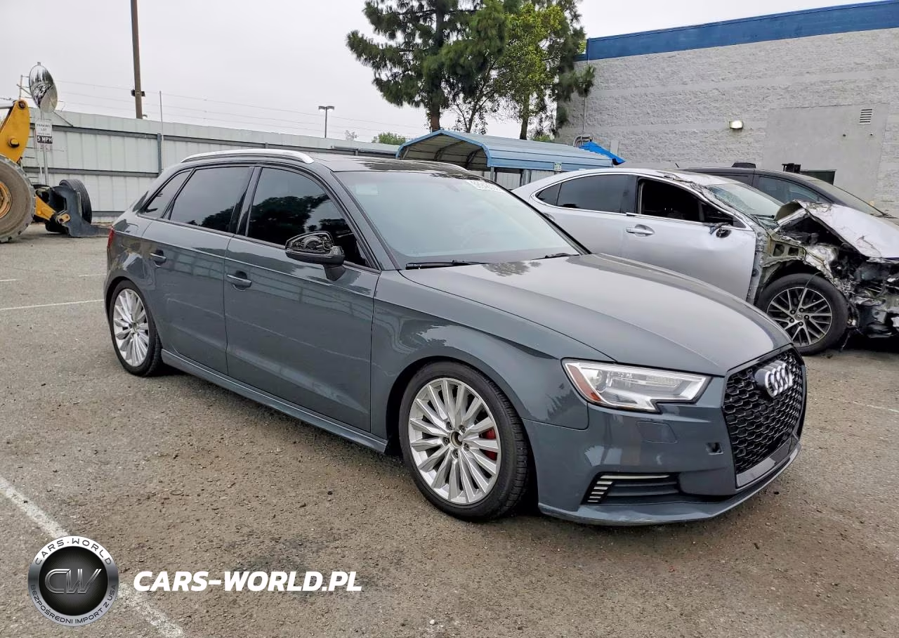 2017 Audi A3 E-Tron Premium VIN:WAUUPBFF8HA096547 - 4