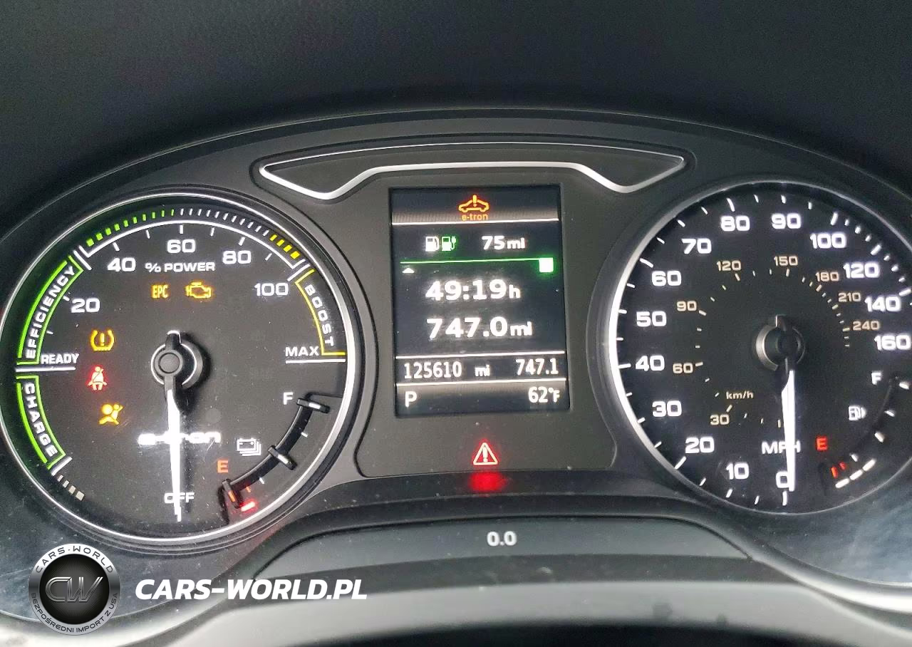 2017 Audi A3 E-Tron Premium VIN:WAUUPBFF8HA096547 - 9