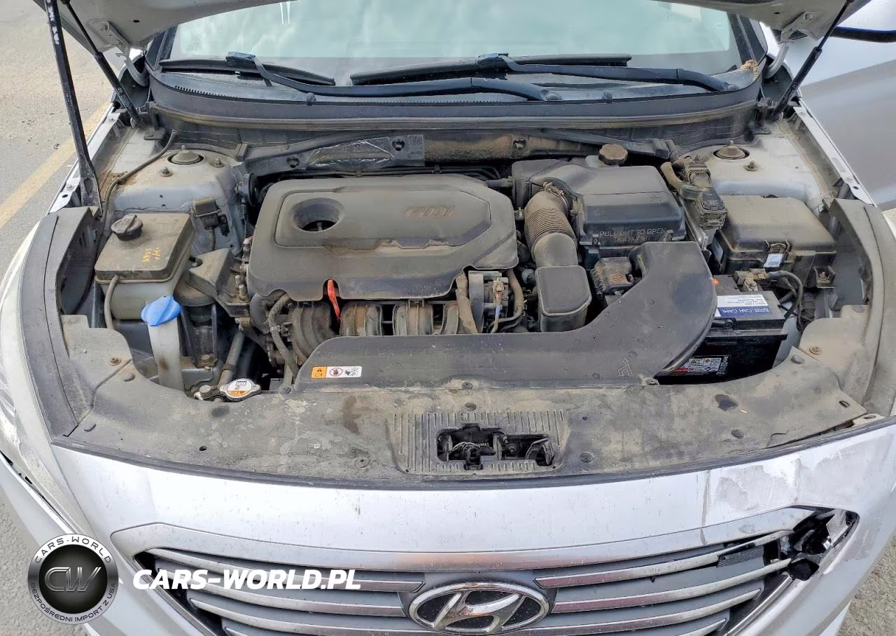 2016 Hyundai Sonata Se VIN:5NPE24AF9GH389132 - 11