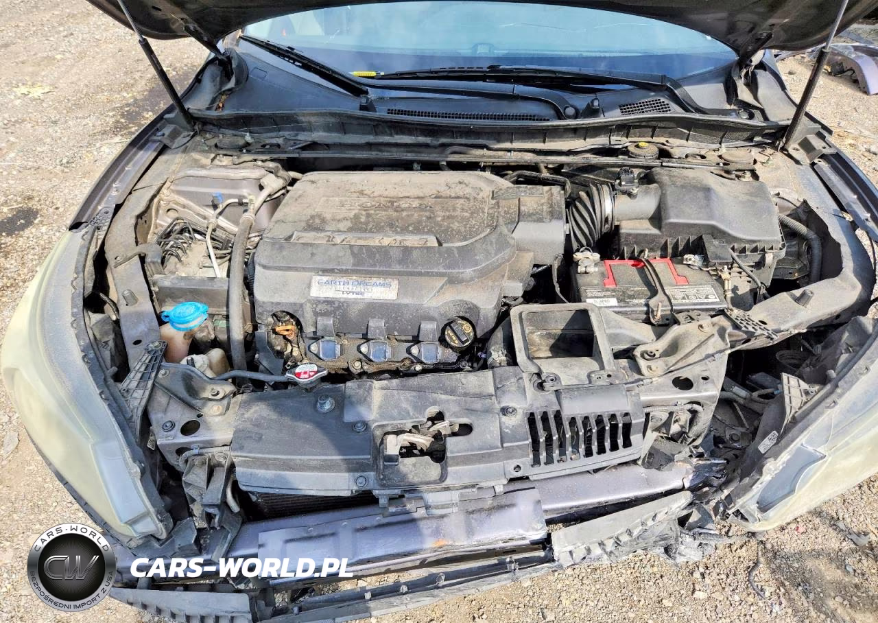 2014 Honda Accord Exl VIN:1HGCR3F84EA029375 - 11
