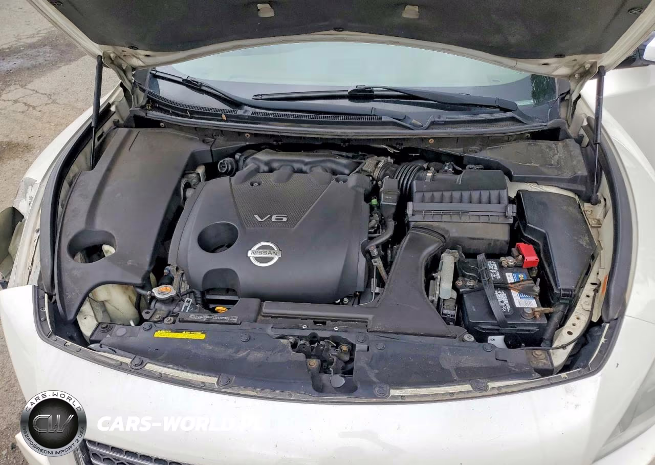 2009 Nissan Maxima 3.5 S VIN:1N4AA51E49C829549 - 11