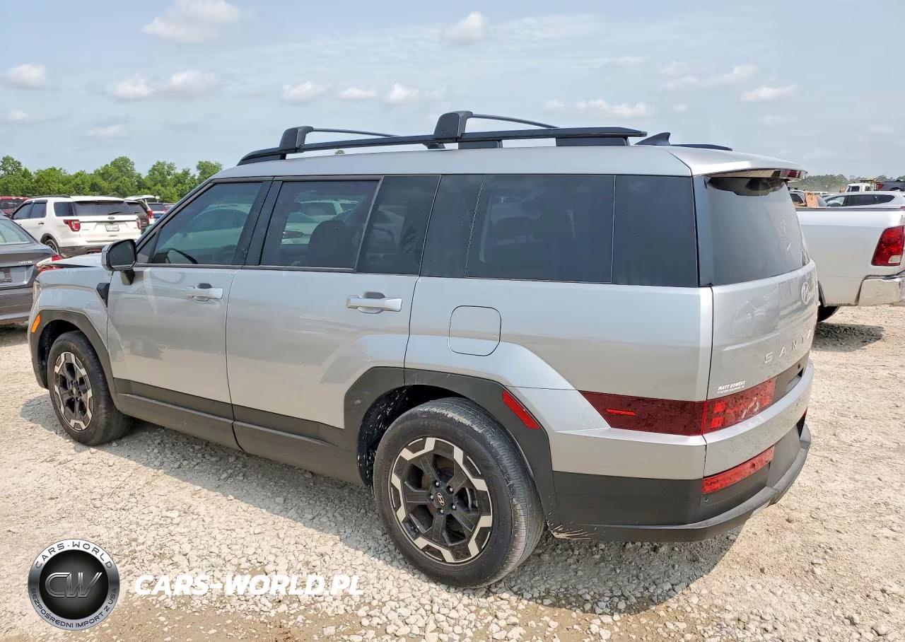 2025 Hyundai Santa Fe Sel VIN:5NMP24GLXSH111366 - 2