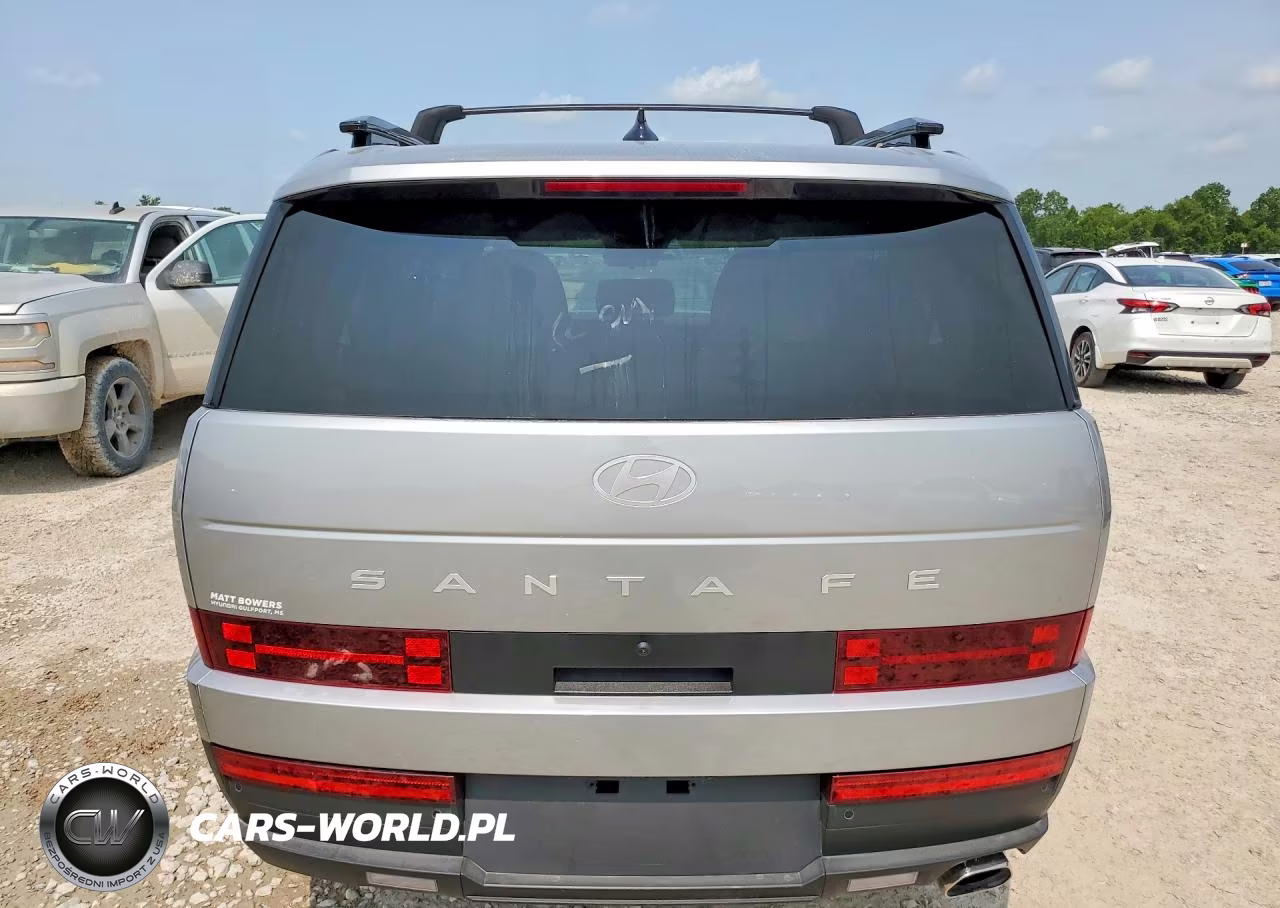 2025 Hyundai Santa Fe Sel VIN:5NMP24GLXSH111366 - 6