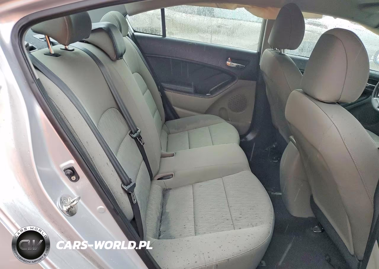2015 Kia Forte Lx VIN:KNAFK4A6XF5434045 - 10