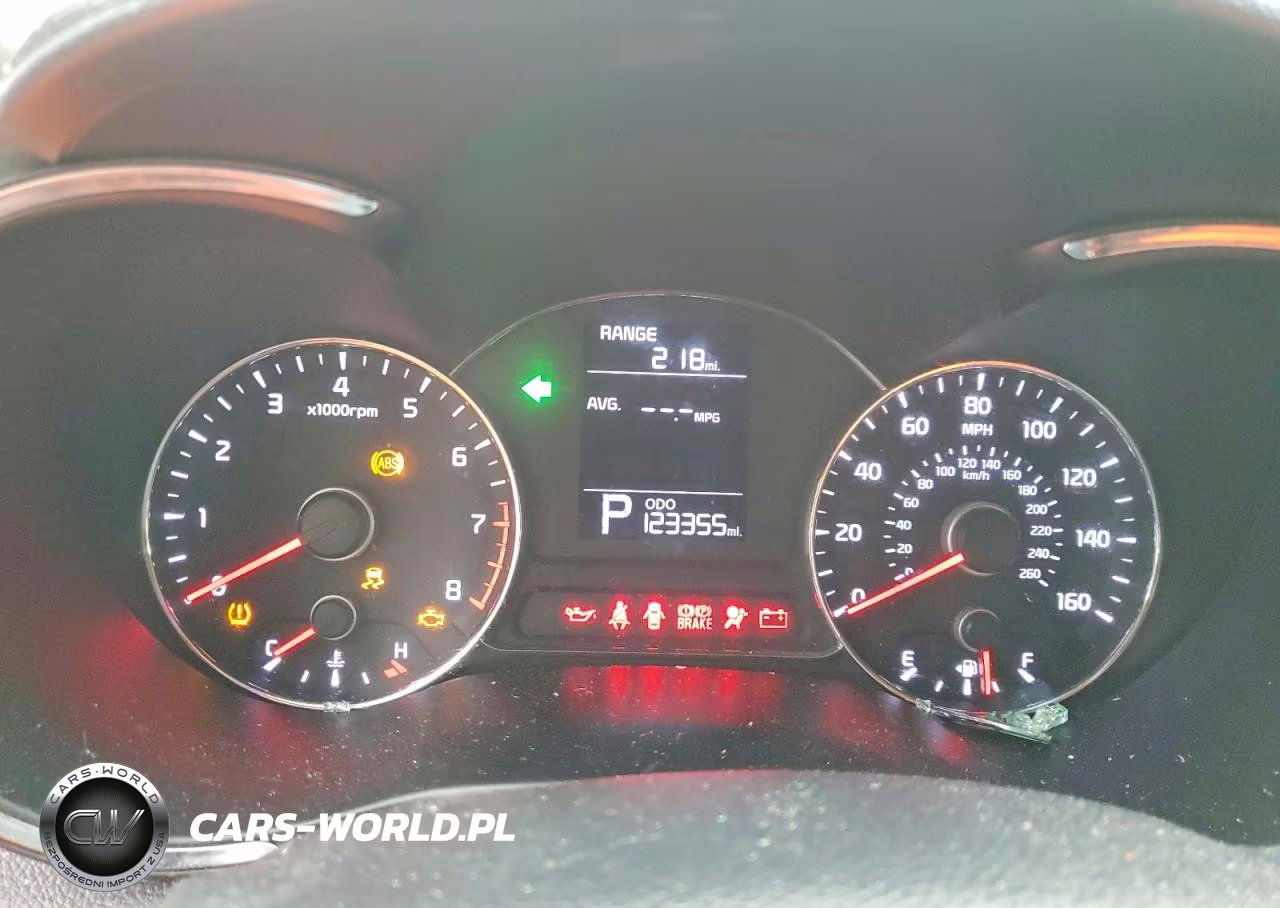 2015 Kia Forte Lx VIN:KNAFK4A6XF5434045 - 9
