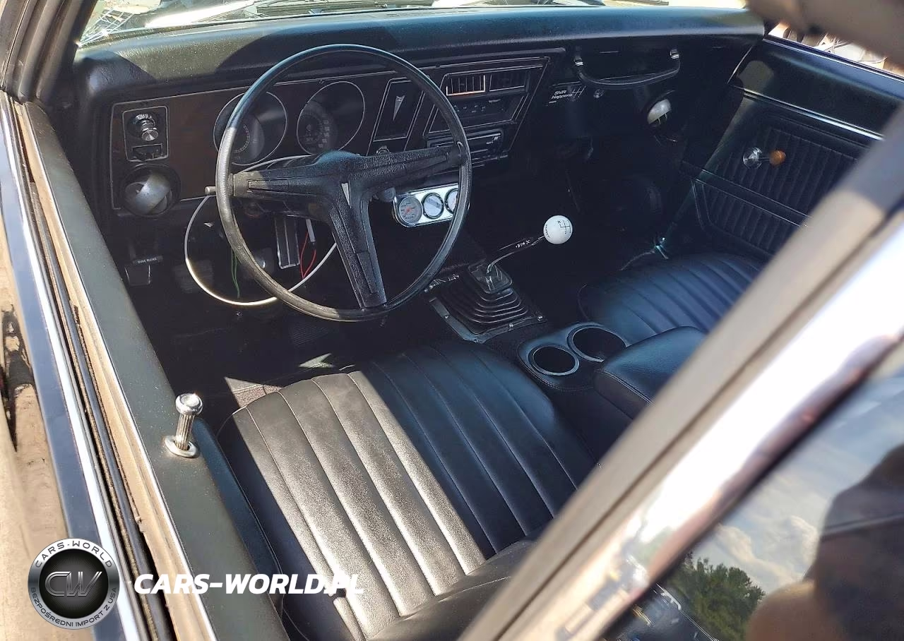 1969 Pontiac Firebird VIN:223379L109838 - 8