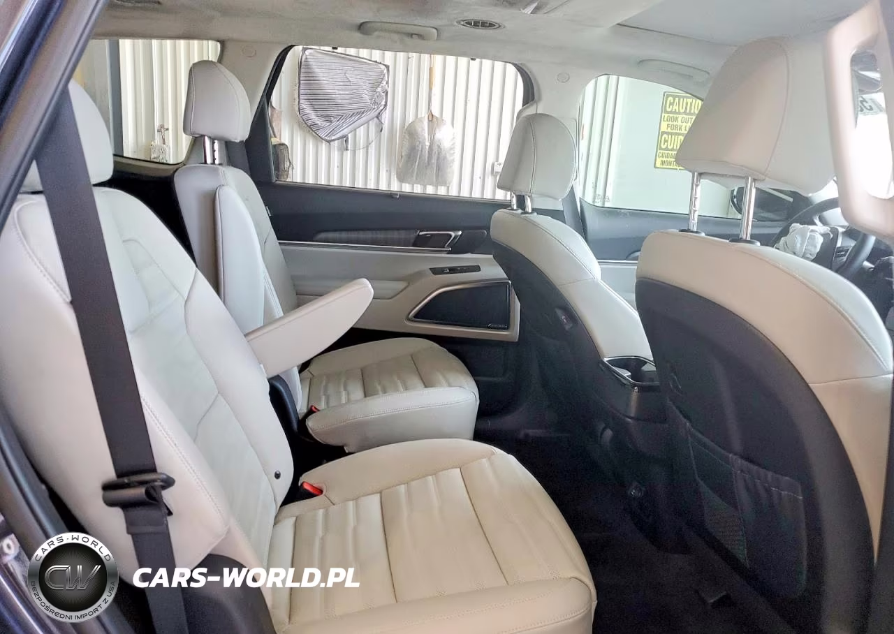 2025 Kia Telluride Sx-Prestige VIN:5XYP5DGC3SG685468 - 11