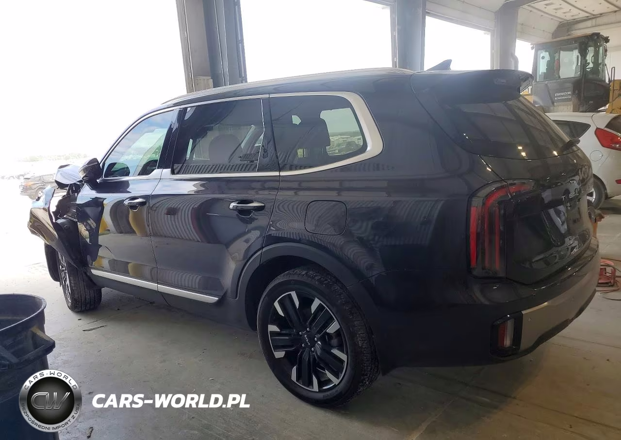 2025 Kia Telluride Sx-Prestige VIN:5XYP5DGC3SG685468 - 2