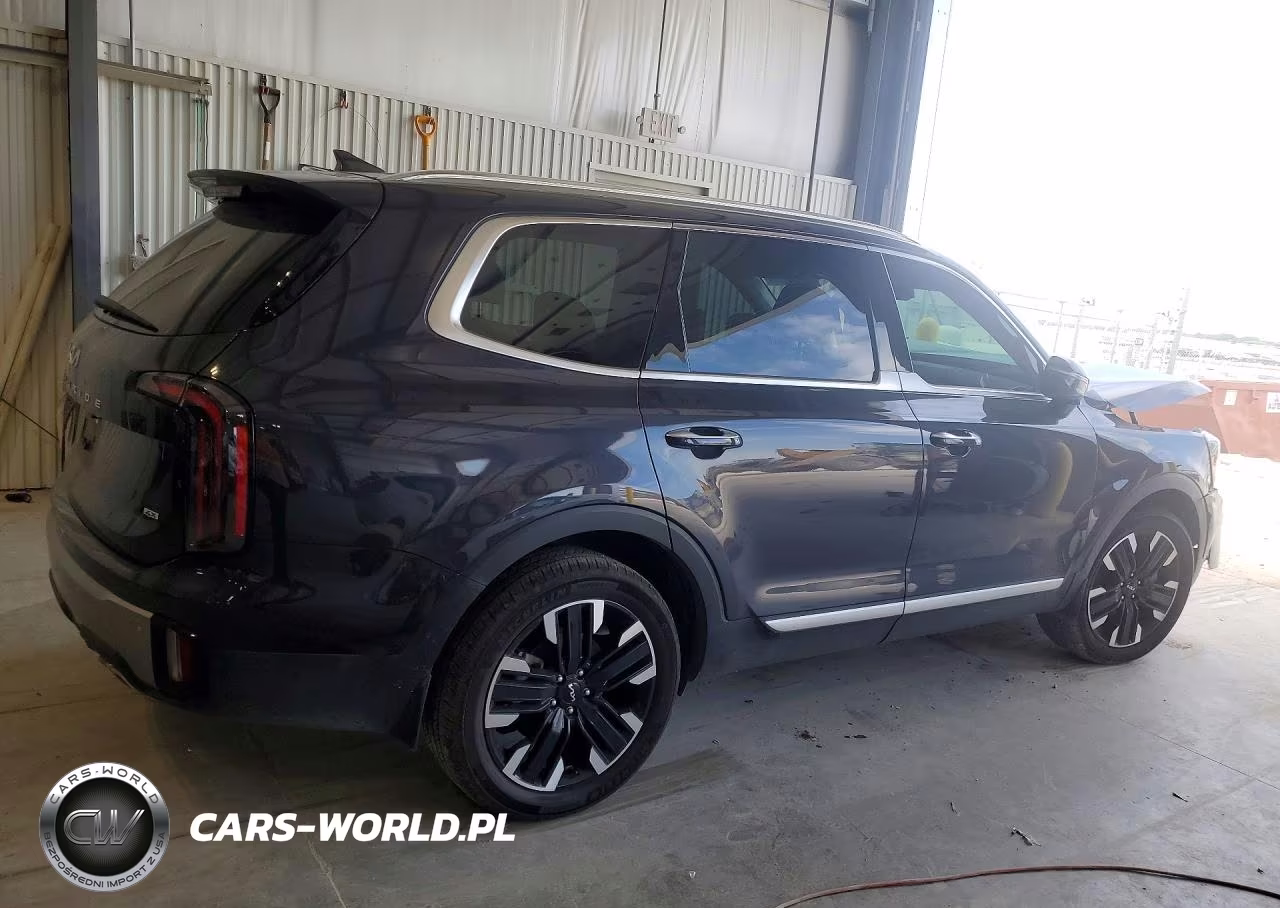 2025 Kia Telluride Sx-Prestige VIN:5XYP5DGC3SG685468 - 3