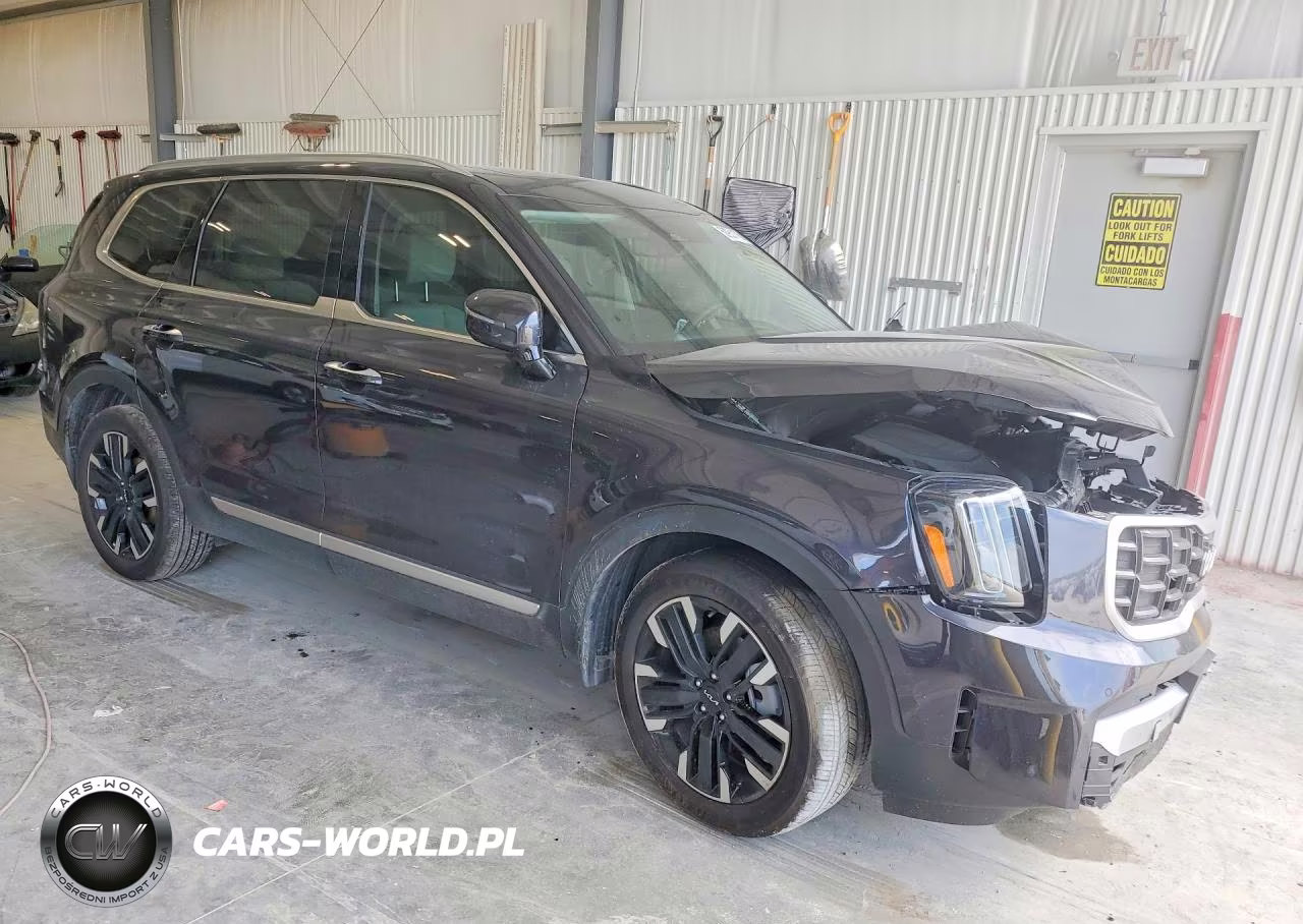 2025 Kia Telluride Sx-Prestige VIN:5XYP5DGC3SG685468 - 4