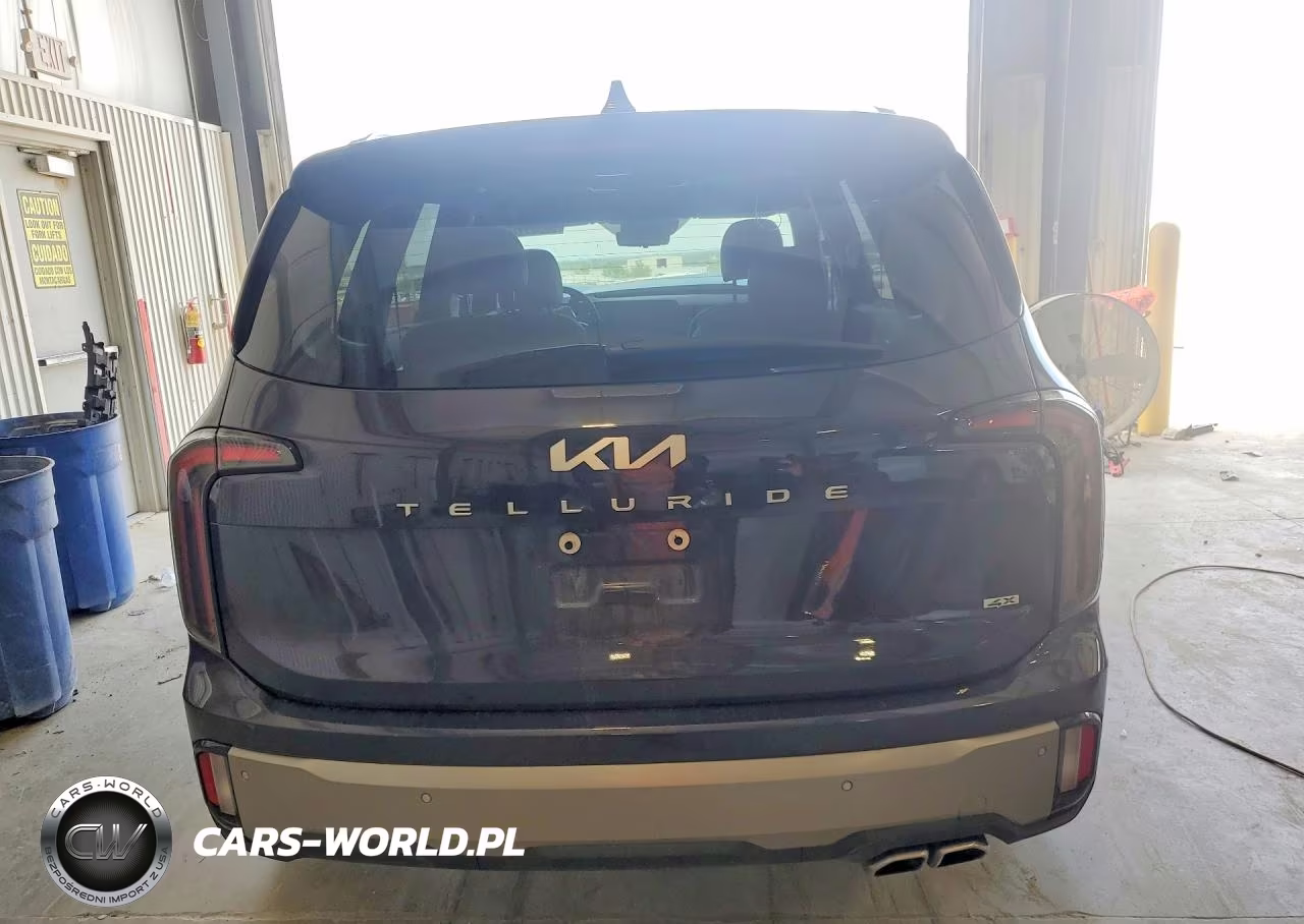 2025 Kia Telluride Sx-Prestige VIN:5XYP5DGC3SG685468 - 6