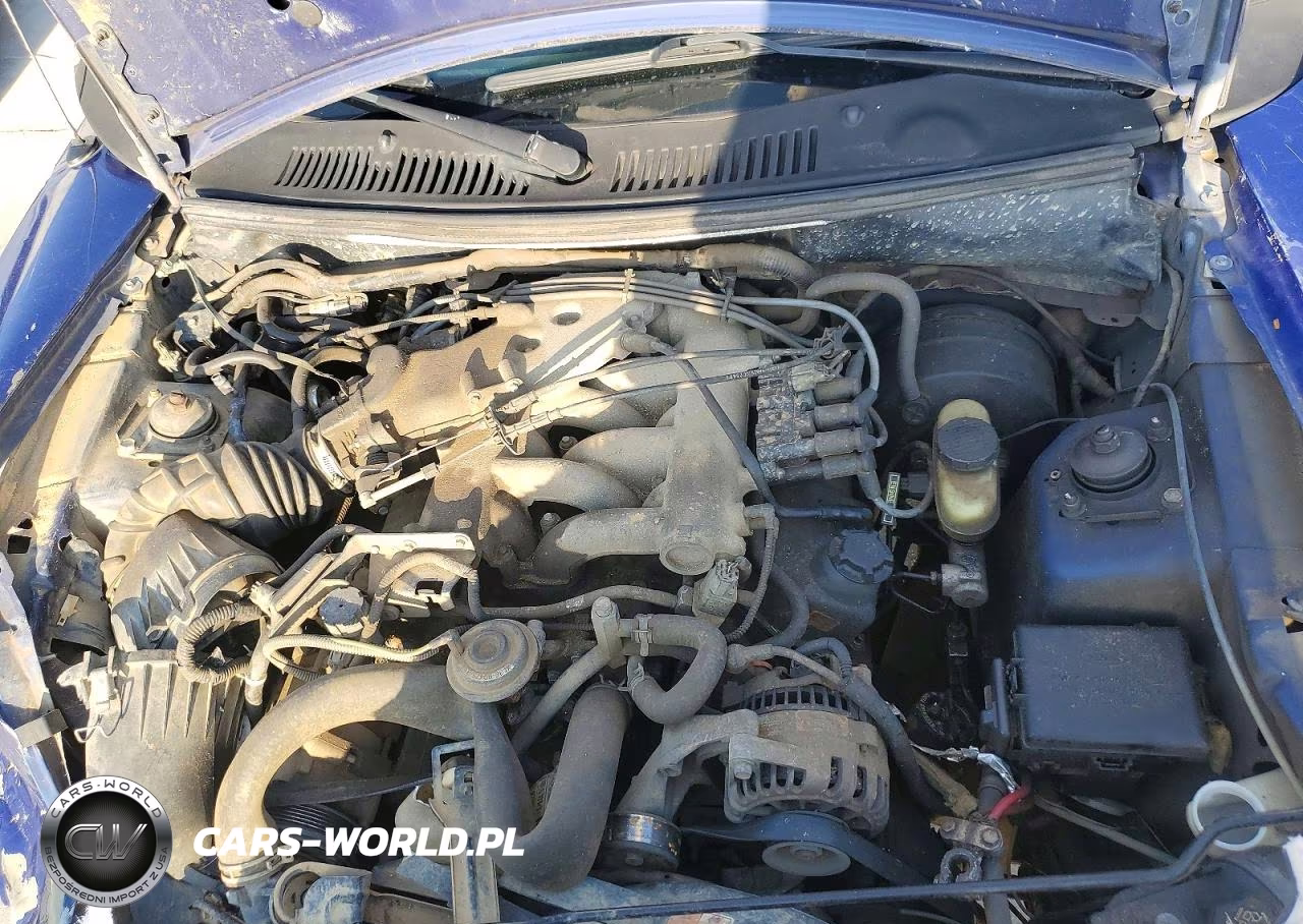 2004 Ford Mustang VIN:1FAFP40494F125023 - 11