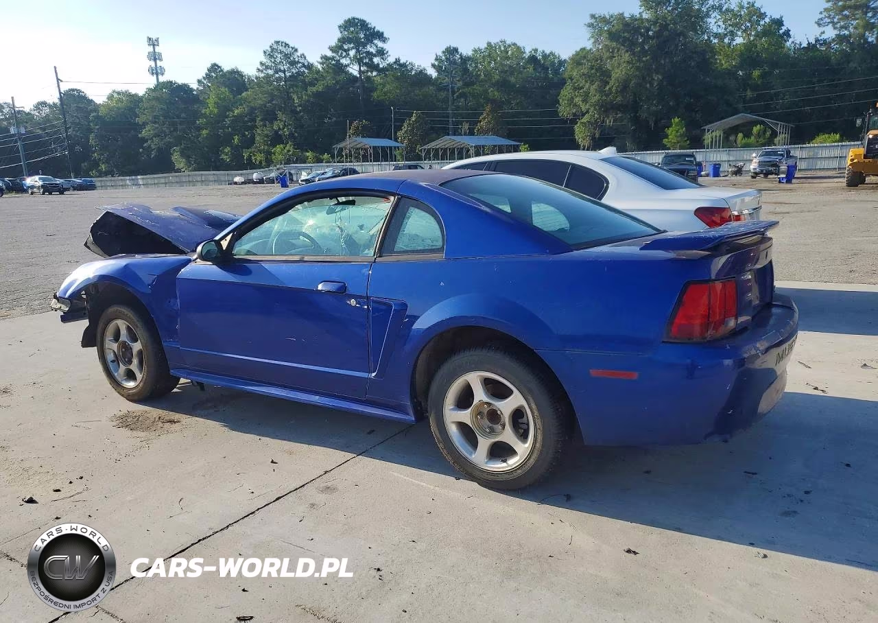 2004 Ford Mustang VIN:1FAFP40494F125023 - 2