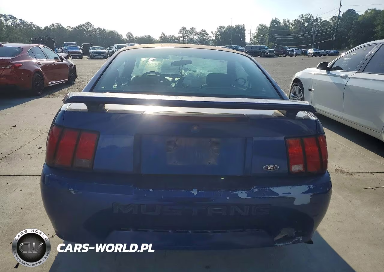 2004 Ford Mustang VIN:1FAFP40494F125023 - 6