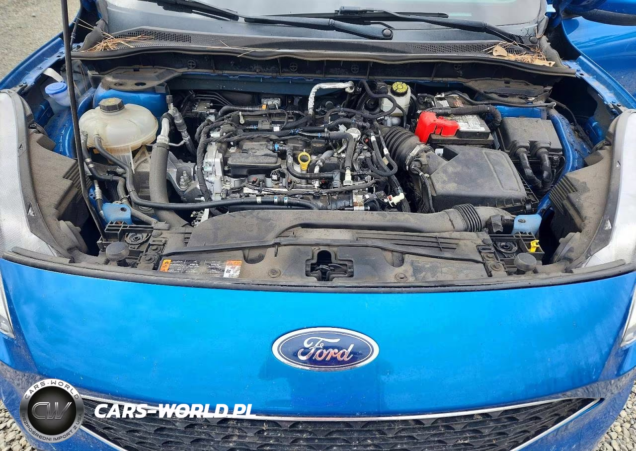 2021 Ford Escape Sel VIN:1FMCU9H65MUA65662 - 12