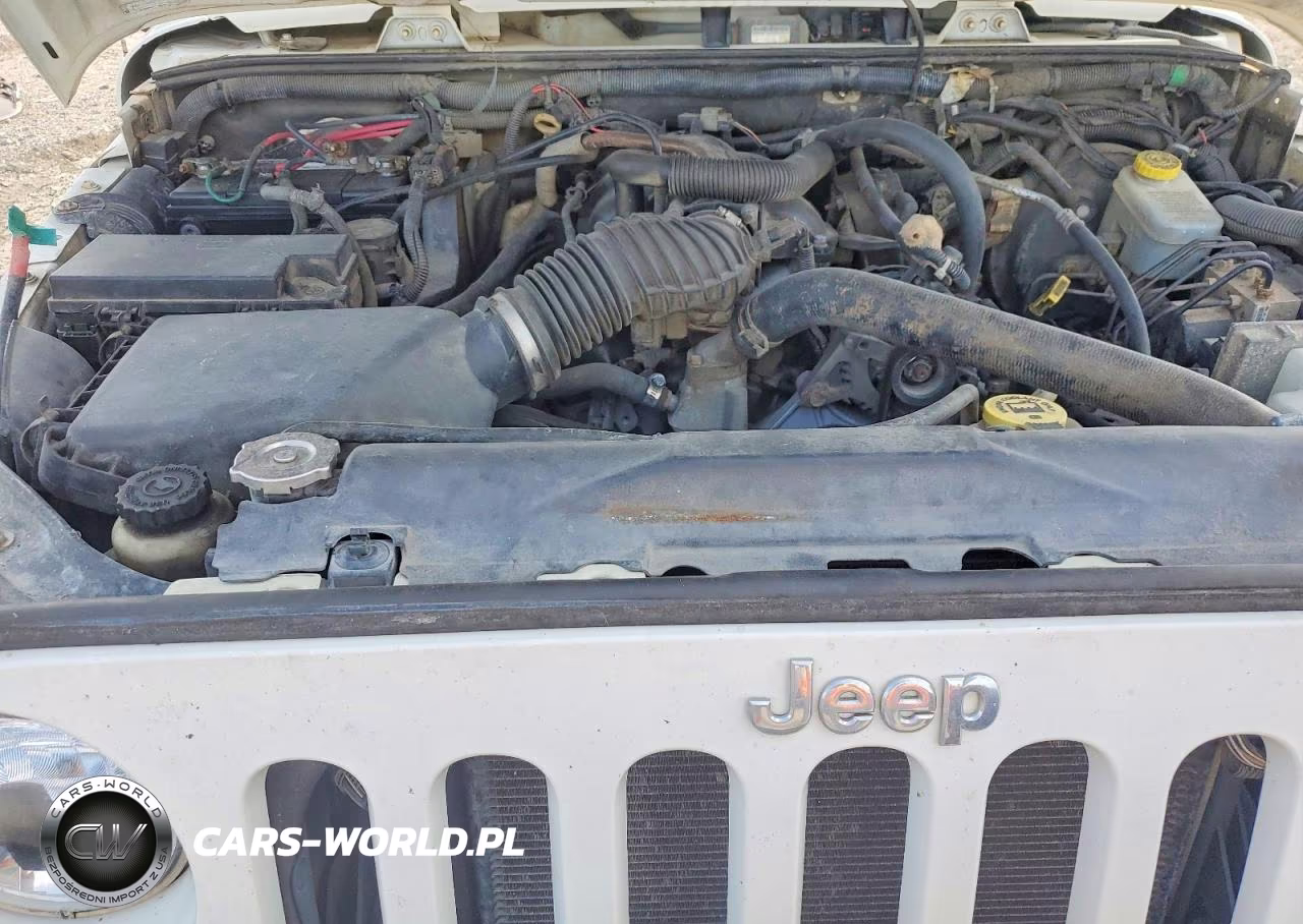 2007 Jeep Wrangler VIN:1J8GA69157L166865 - 11