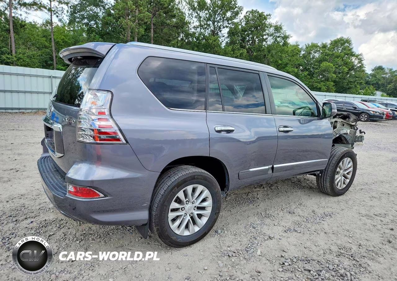 2019 Lexus Gx 460 VIN:JTJBM7FXXK5220324 - 3