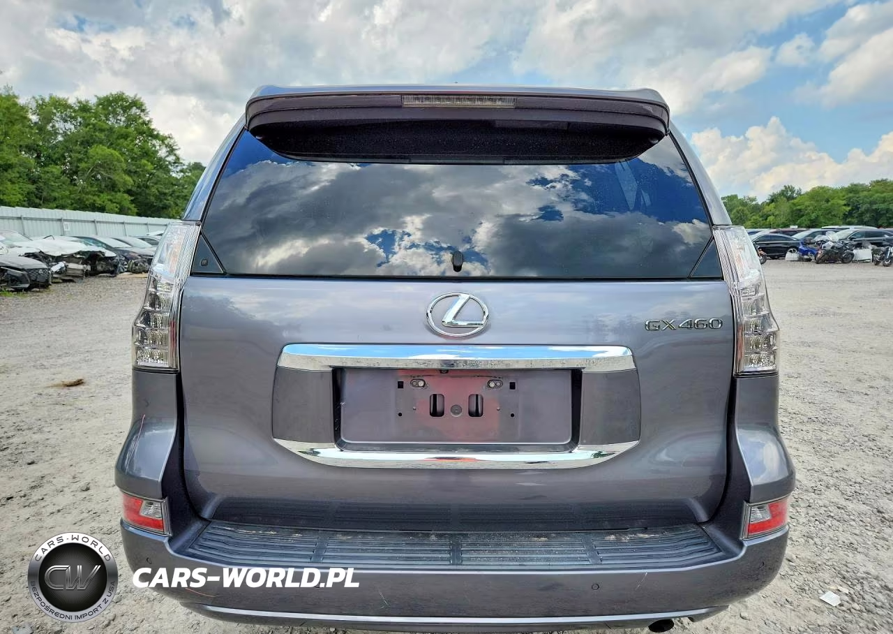 2019 Lexus Gx 460 VIN:JTJBM7FXXK5220324 - 6
