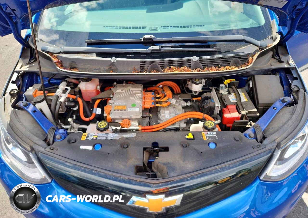 2019 Chevrolet Bolt Ev Premier VIN:1G1FZ6S07K4101699 - 11