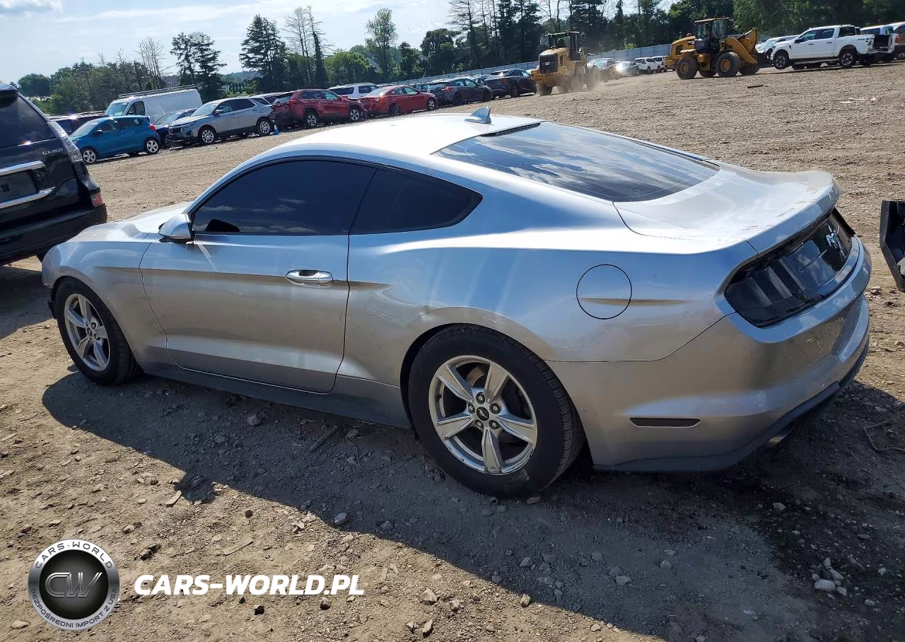 2020 Ford Mustang VIN:1FA6P8TH8L5162154 - 2