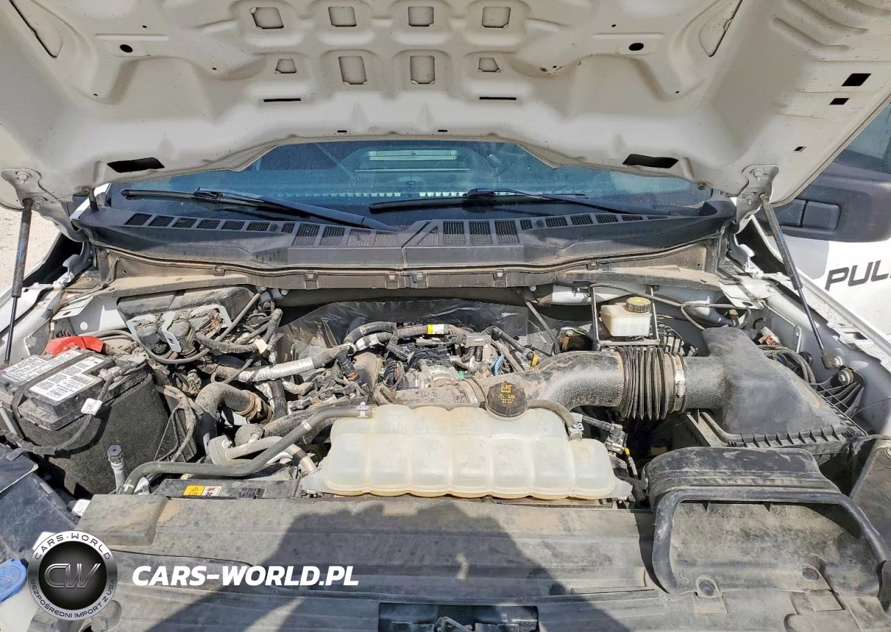 2023 Ford F150 Supercrew VIN:1FTEW1EP0PKF88948 - 11