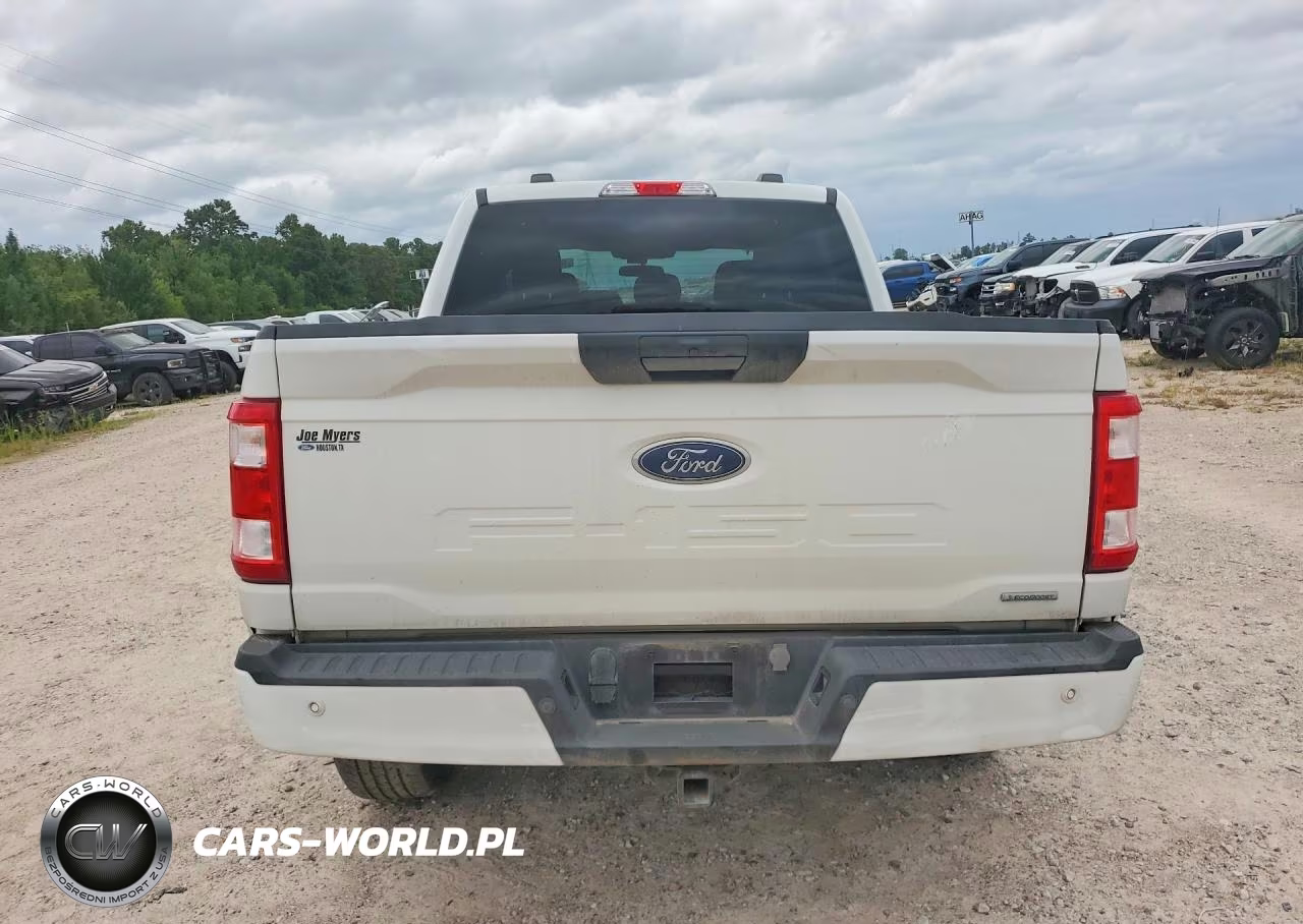 2023 Ford F150 Supercrew VIN:1FTEW1EP0PKF88948 - 6