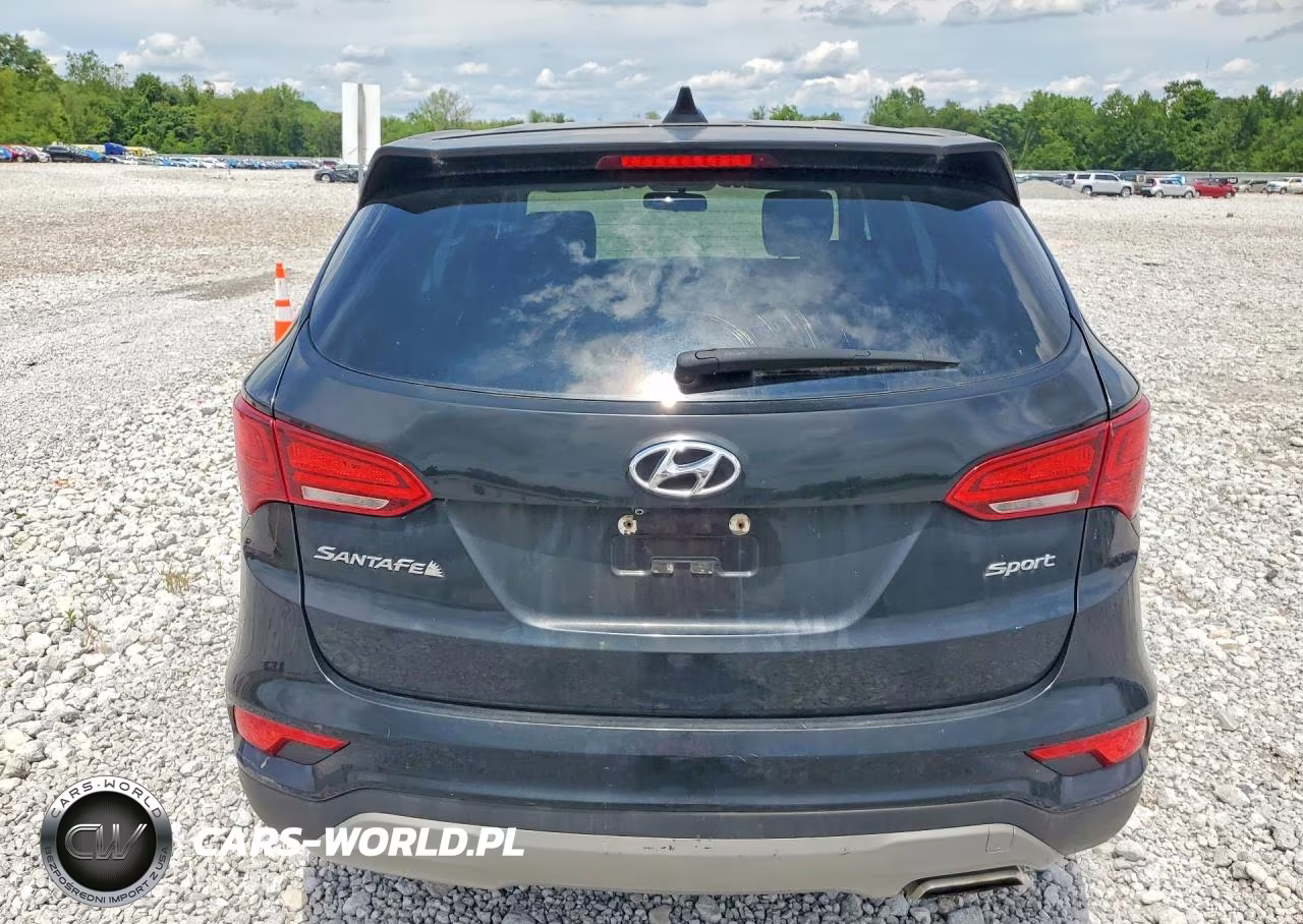 2017 Hyundai Santa Fe Sport VIN:5XYZT3LB1HG410874 - 6