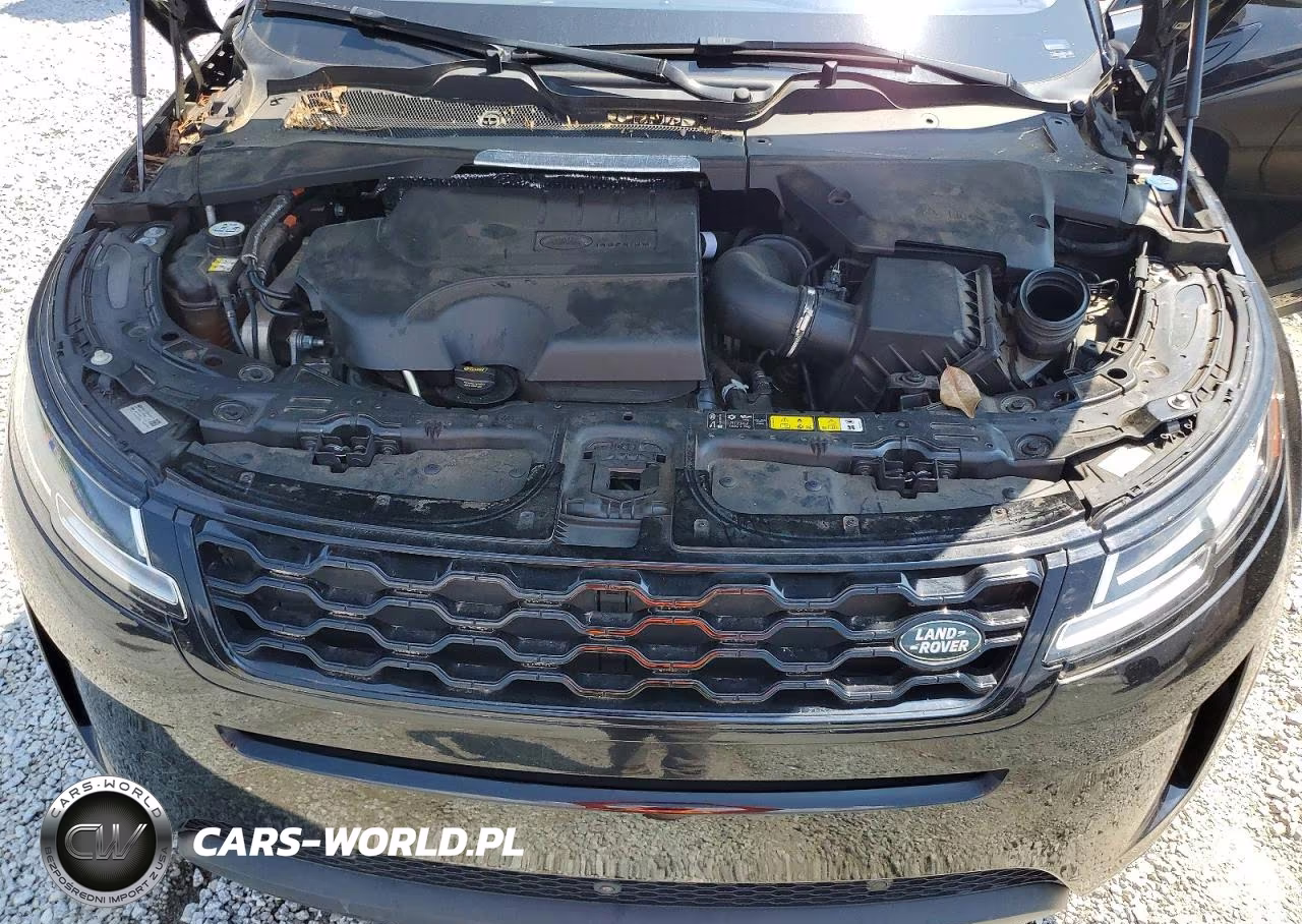 2020 Land Rover Range Rover Evoque S VIN:SALZJ2FX7LH116332 - 12