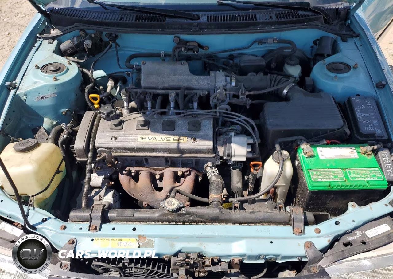 1994 Toyota Corolla Dx VIN:1NXAE09B1RZ183033 - 11