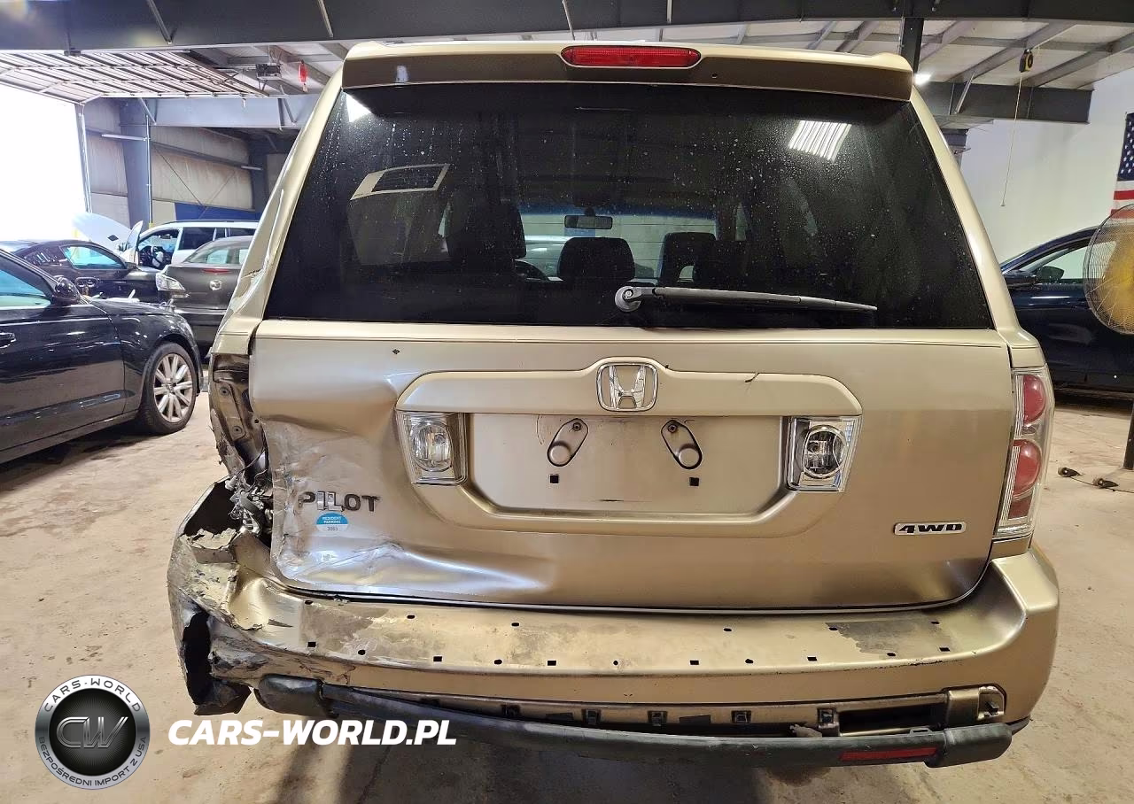 2007 Honda Pilot Exl VIN:5FNYF18537B013439 - 6