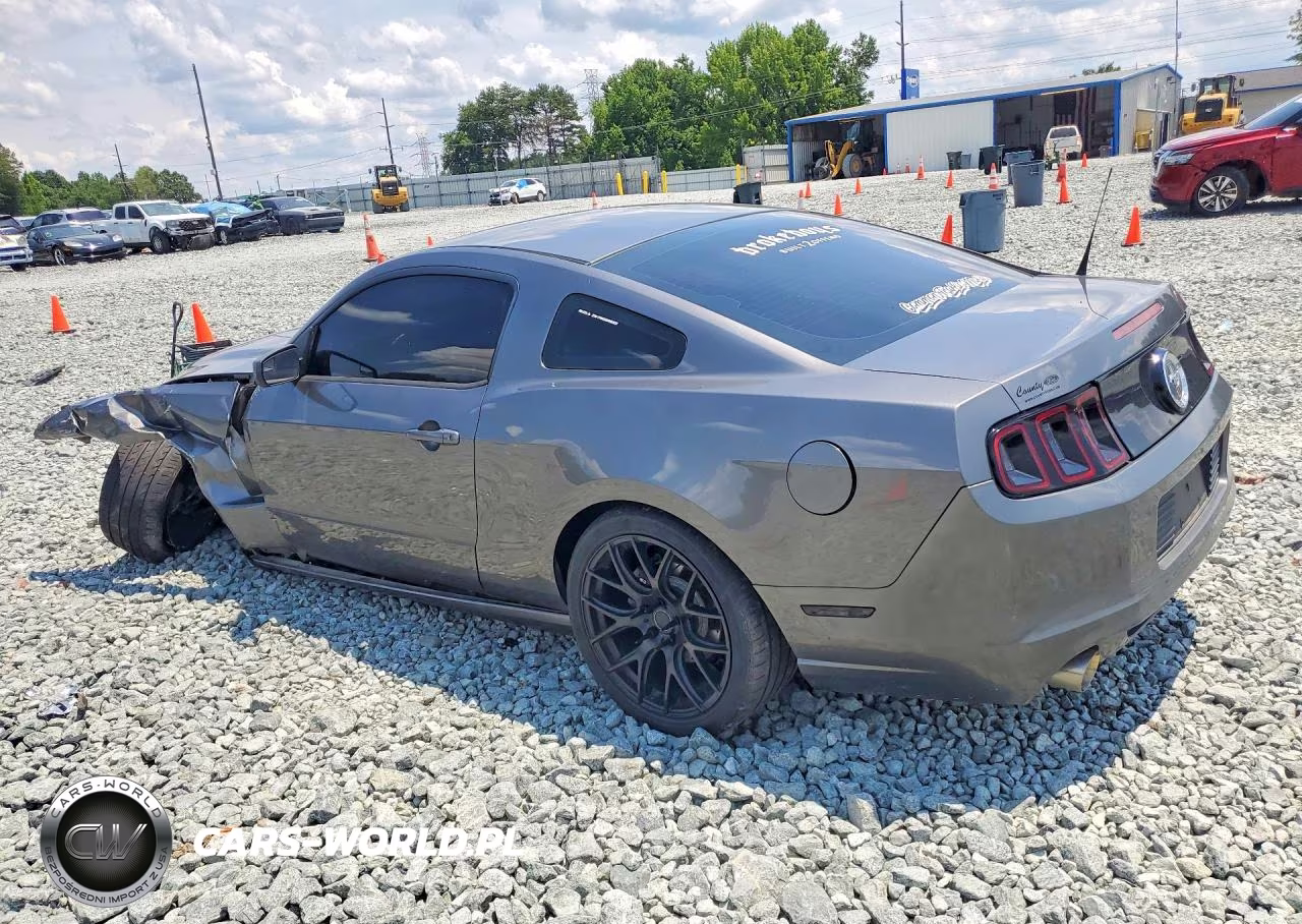 2014 Ford Mustang VIN:1ZVBP8AM1E5318317 - 2