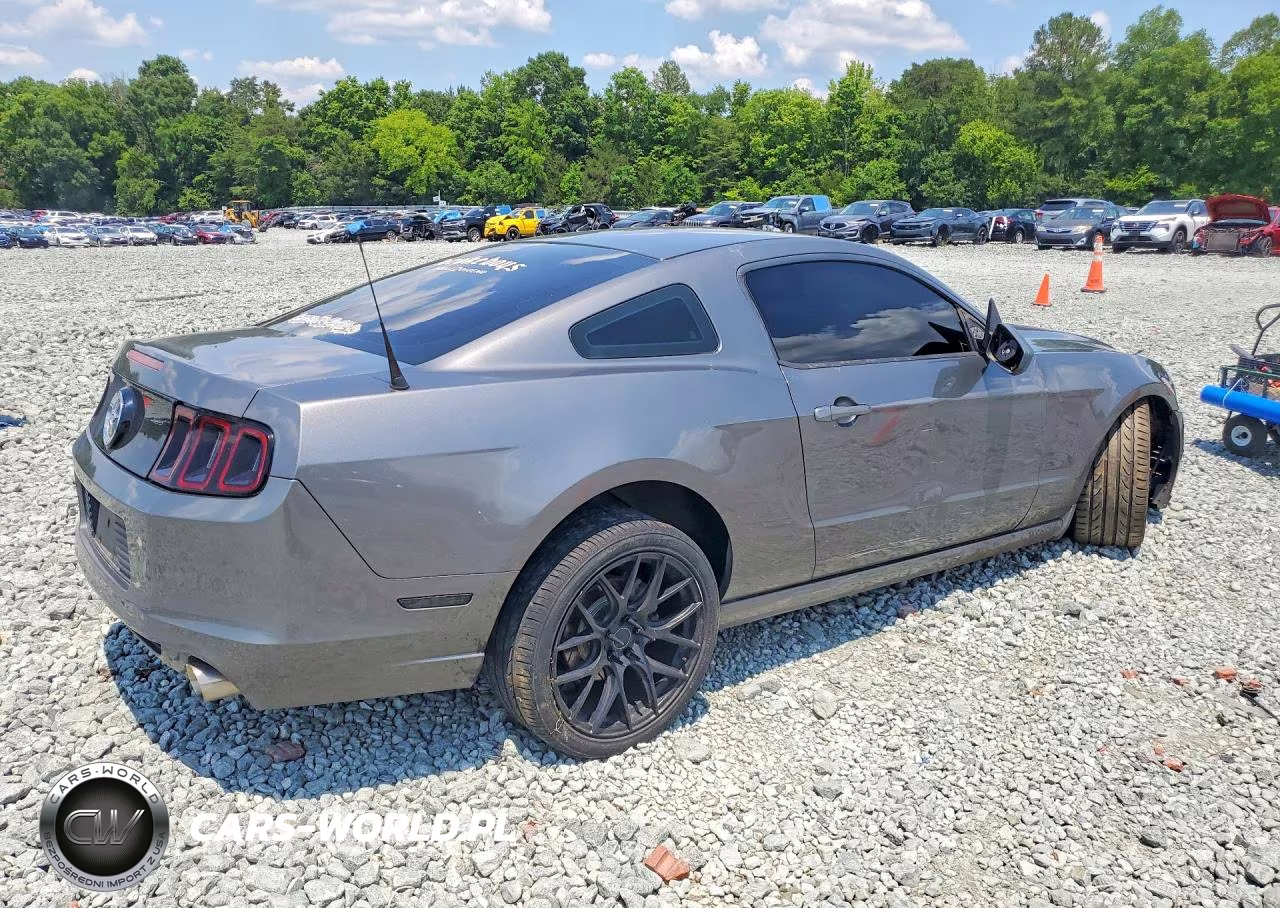 2014 Ford Mustang VIN:1ZVBP8AM1E5318317 - 3