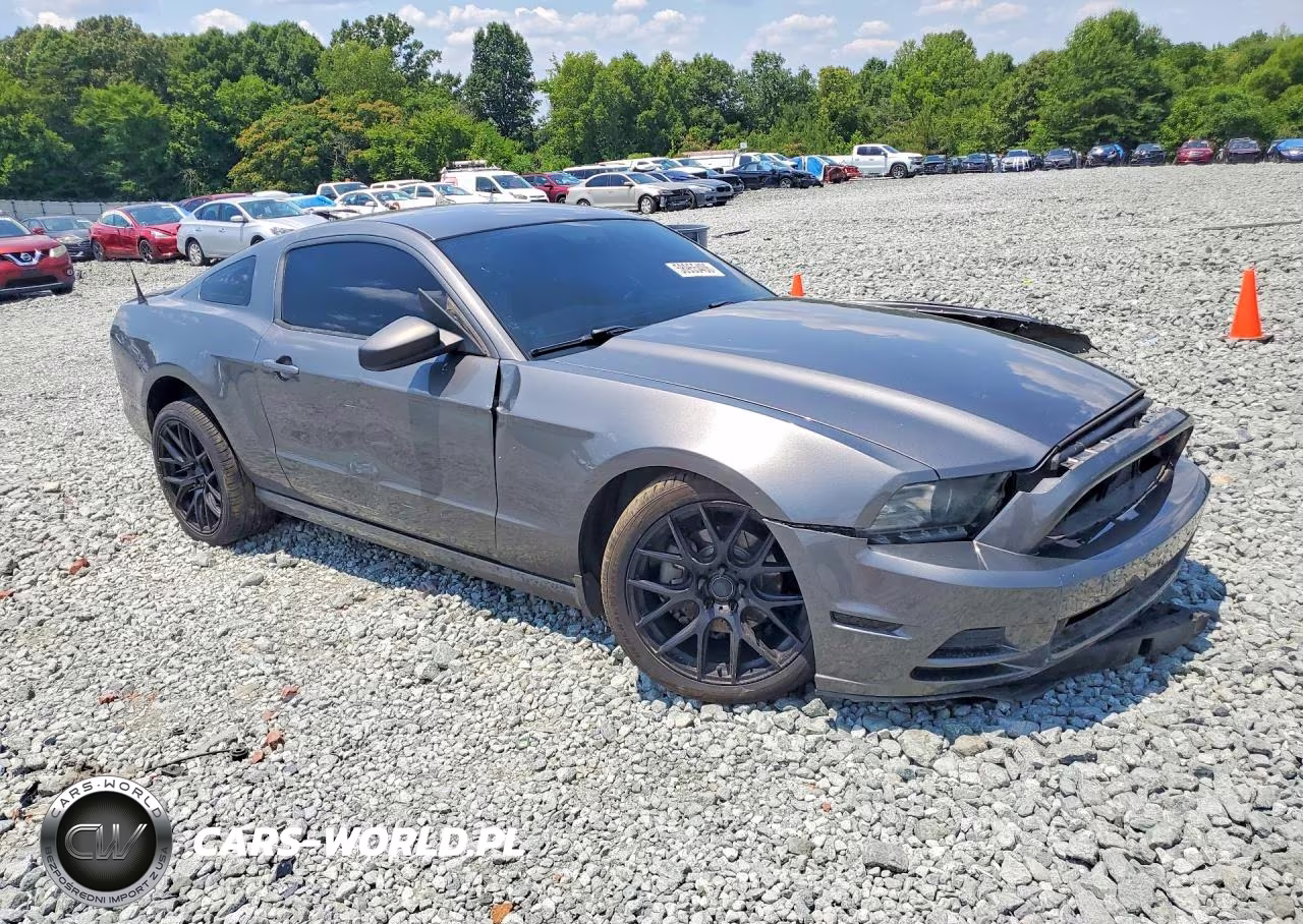 2014 Ford Mustang VIN:1ZVBP8AM1E5318317 - 4