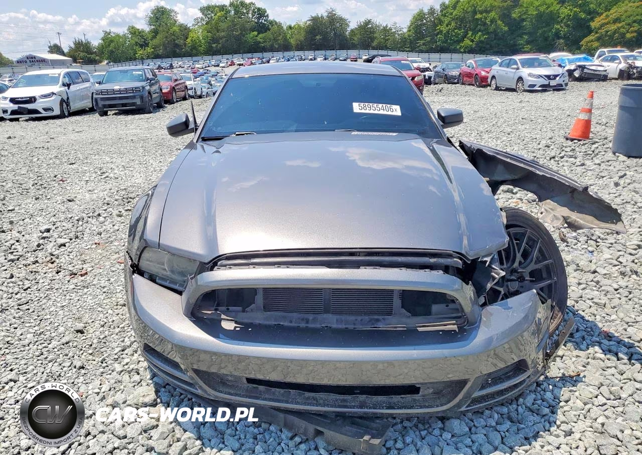 2014 Ford Mustang VIN:1ZVBP8AM1E5318317 - 5