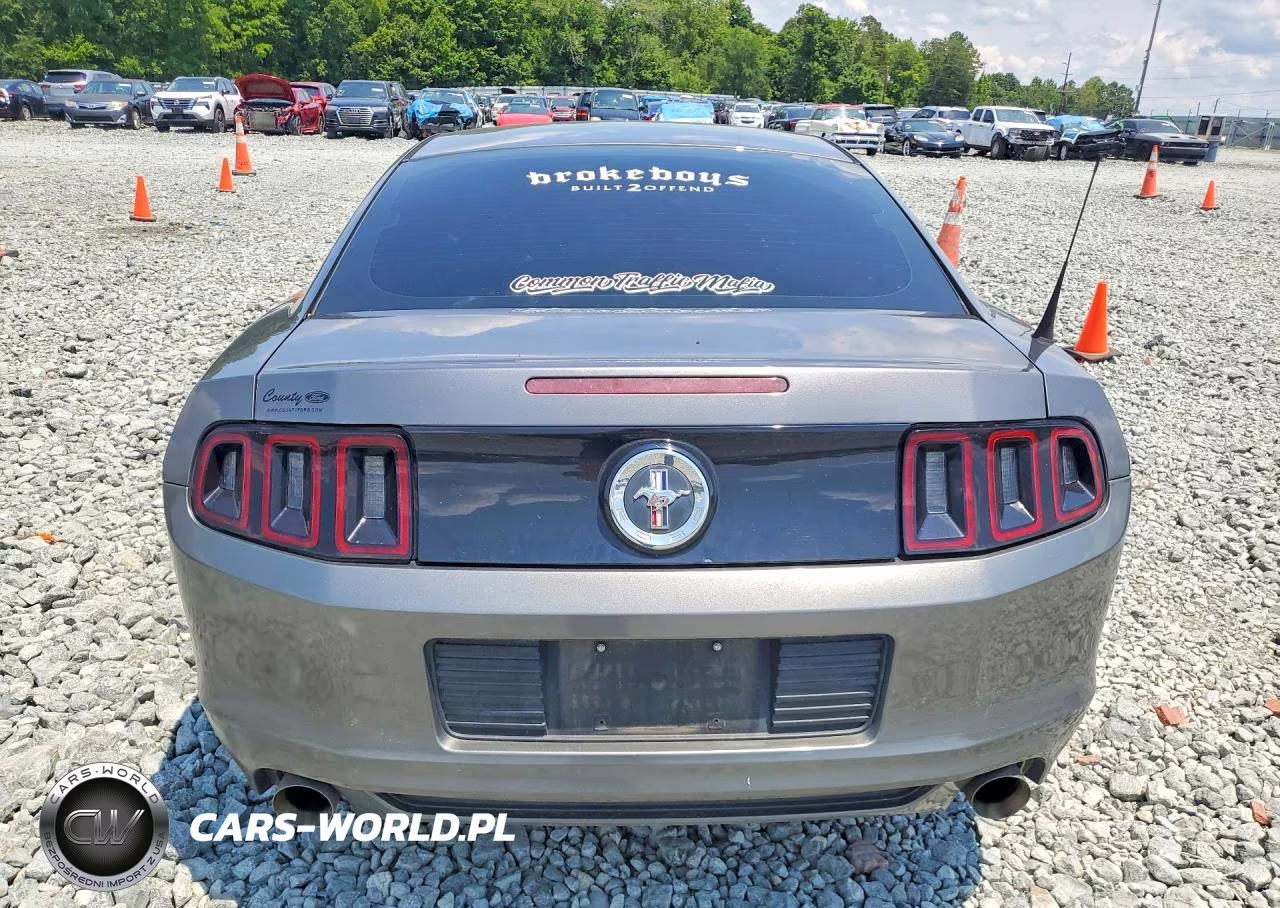 2014 Ford Mustang VIN:1ZVBP8AM1E5318317 - 6